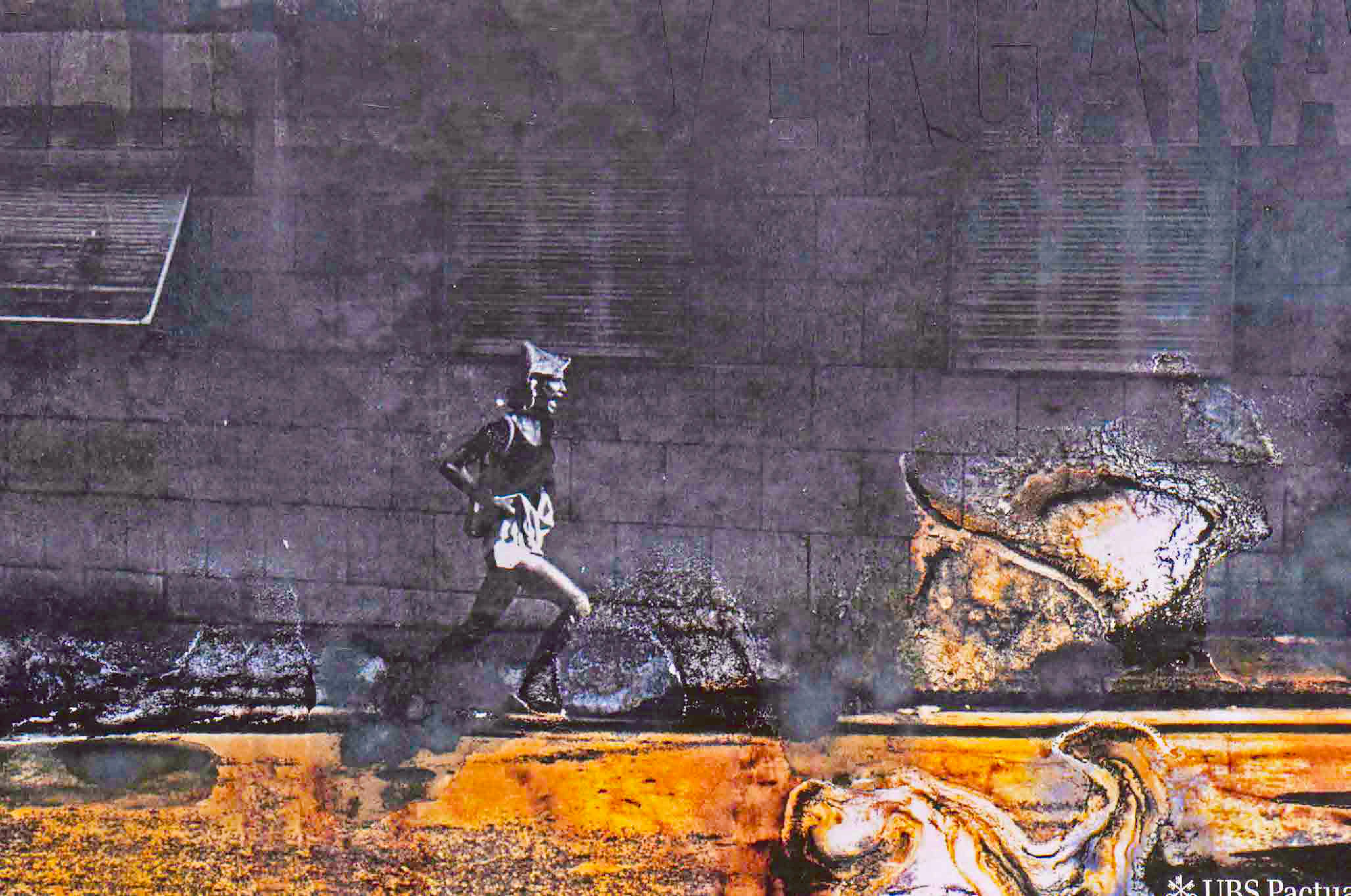 Capa do livro Carlos Vergara