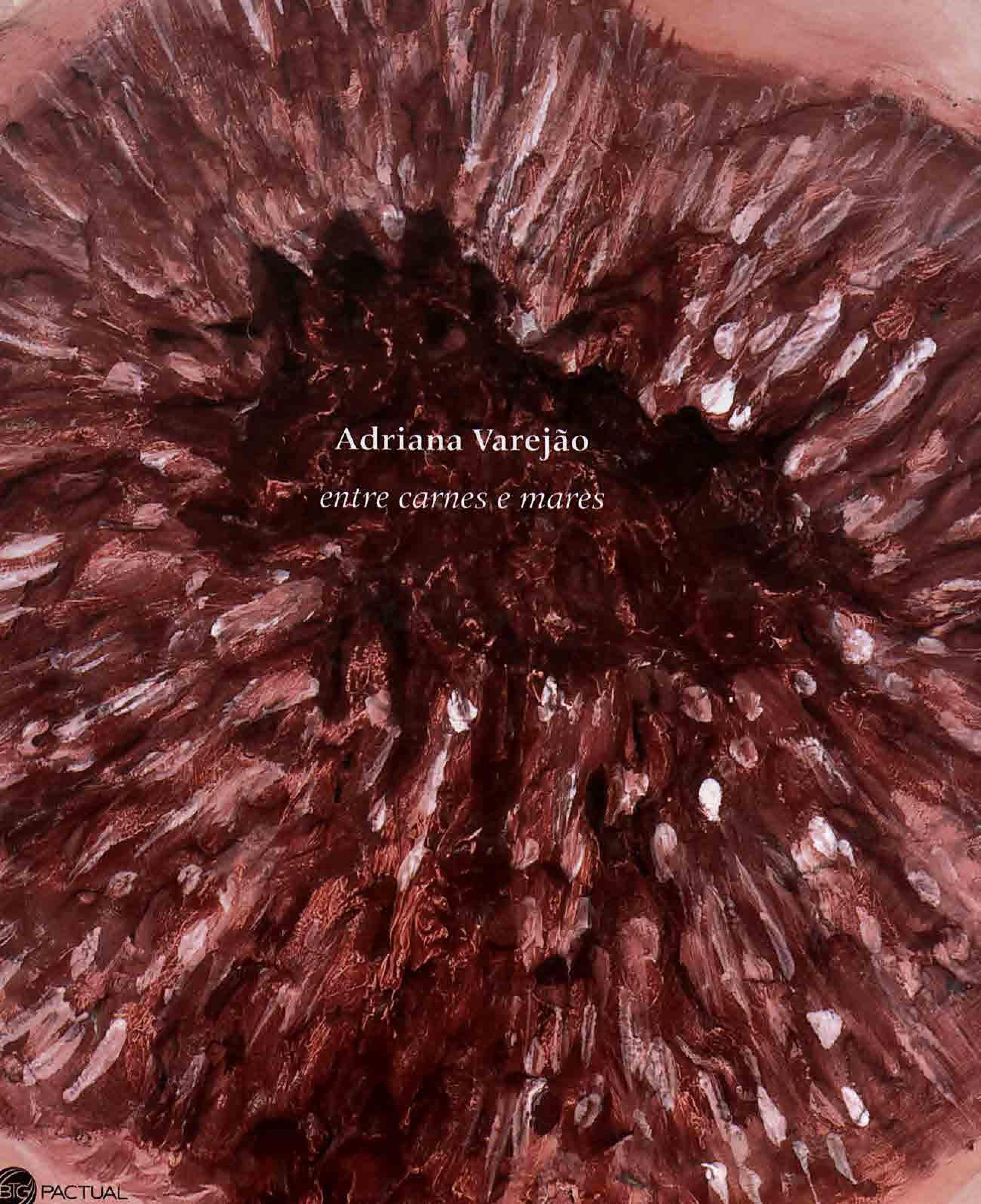 Capa do livro Adriana Varejão