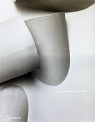 Capa do livro Sergio Camargo